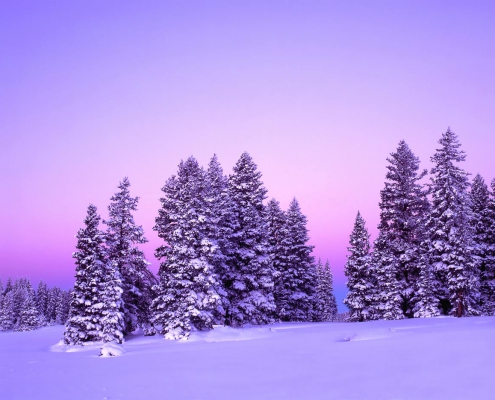 Beautiful Colorado Winter