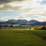 USDA Loans Colorado